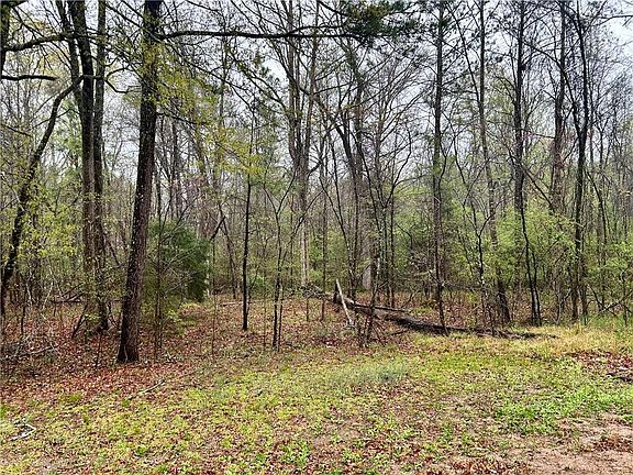 3rd image of 0 Walker Mountain Rd SW #308