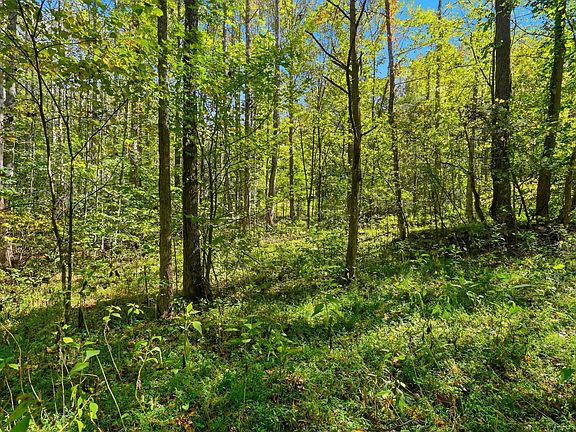 4th image of 0 Timber Lake Drive
