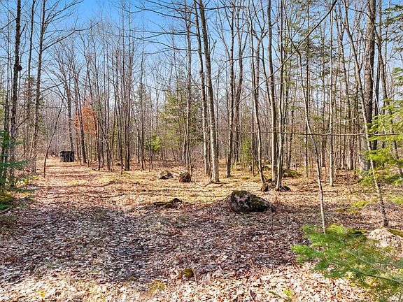 4th image of Buettner Rd