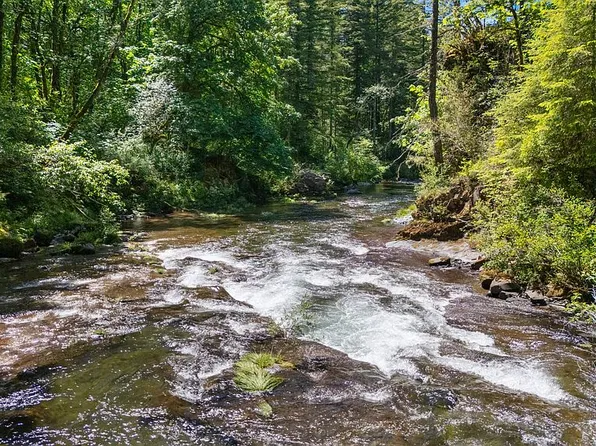 38301 NE Sunset Falls Rd, Yacolt, WA 98675