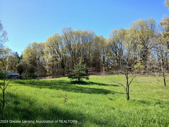 7798 Centerline Rd, Saranac, MI 48881