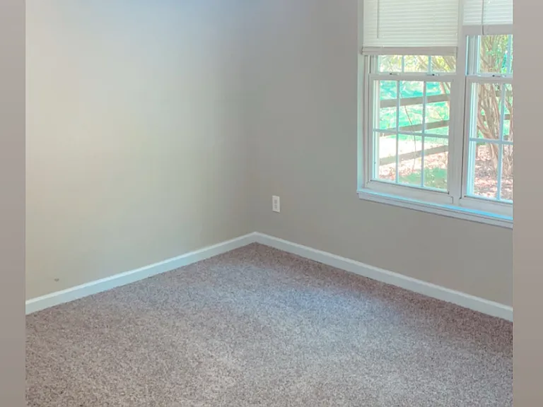 4325 Craven Hill Dr — Photo 10
