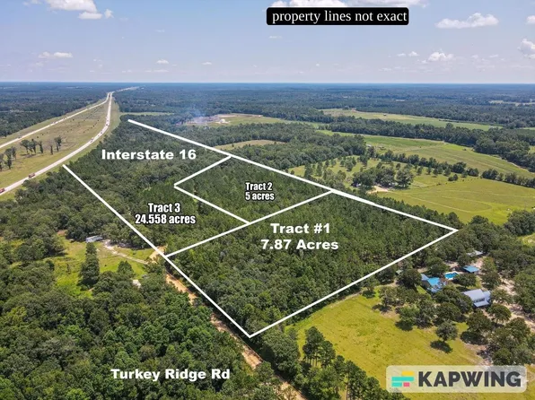 TRACT Two T Turkey Ridge Rd, Metter, GA 30439