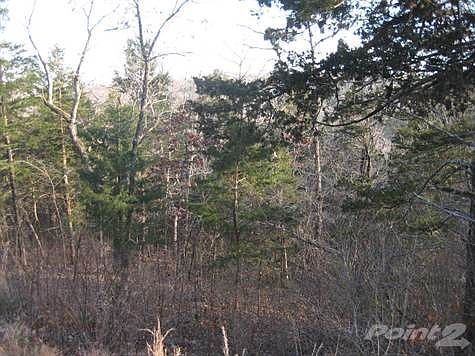 Nicely Wooded