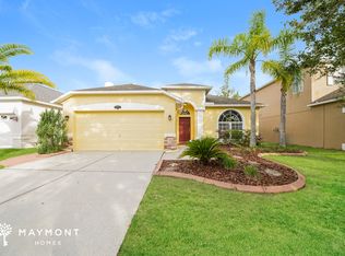 20221 Still Wind Dr, Tampa, FL 33647