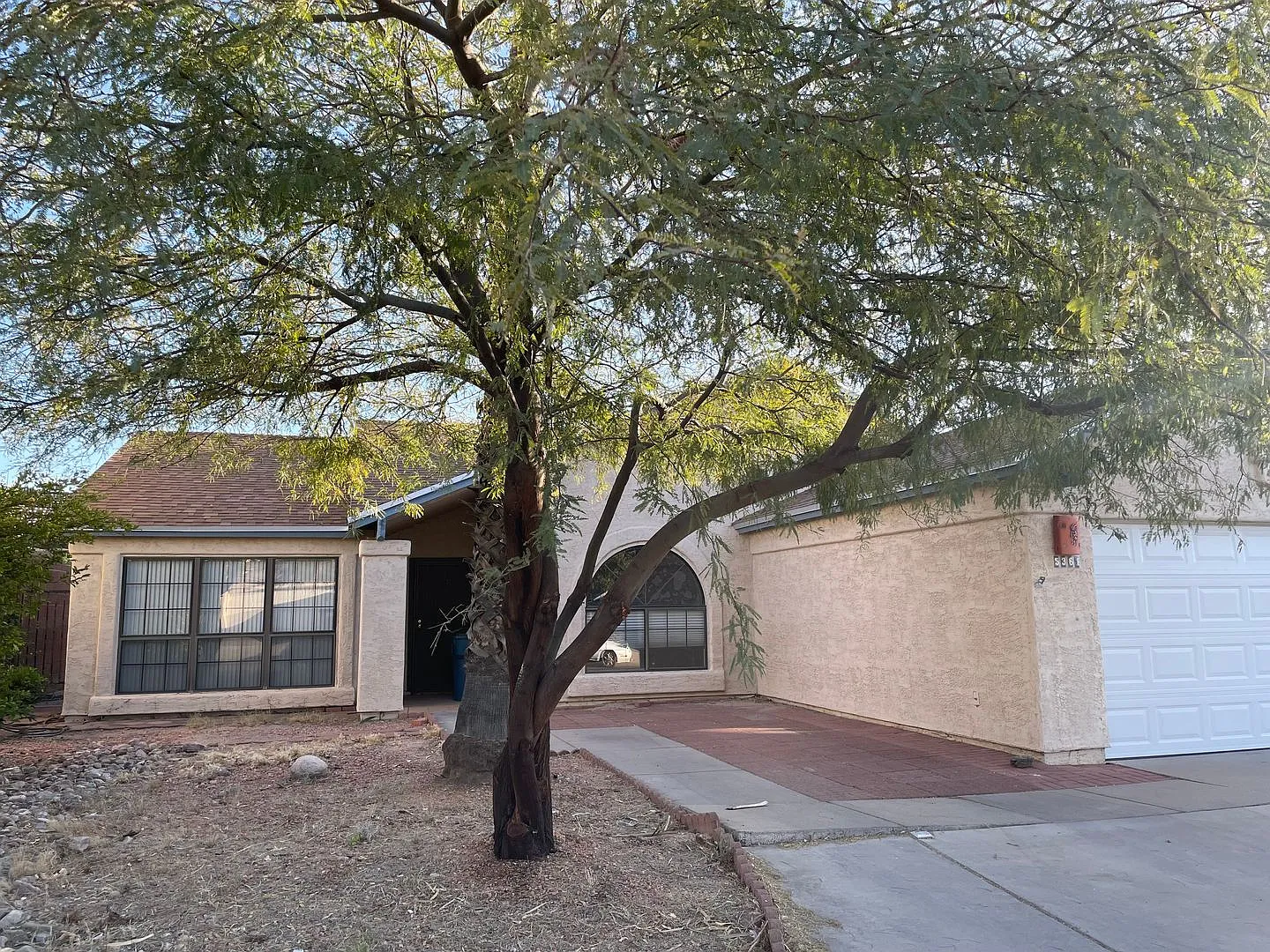 Coming Soon! Charming 3-Bedroom Home with Pool in Tucson, AZ — Photo 4