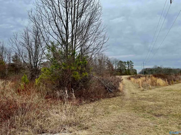 7 County Road 496, Trinity, AL 35673