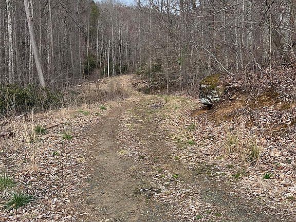 3rd image of 0 White Dogwood Ln