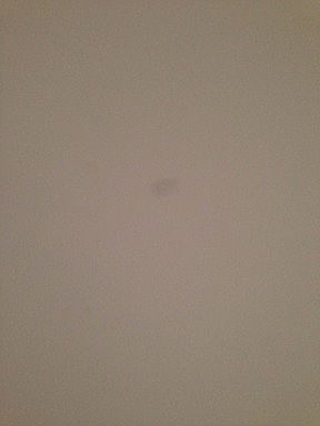 2nd image of 220 Kensington Ct