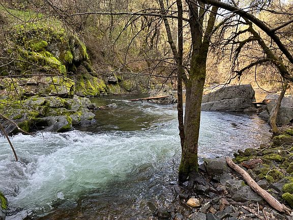 4th image of 18635 Highway 26