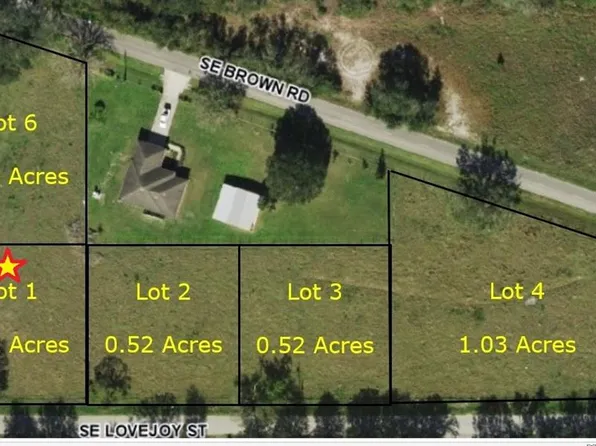 3198 SE Lovejoy St #1, Arcadia, FL 34266