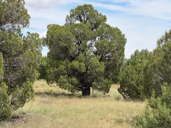 86 N5535, Concho, AZ 85924