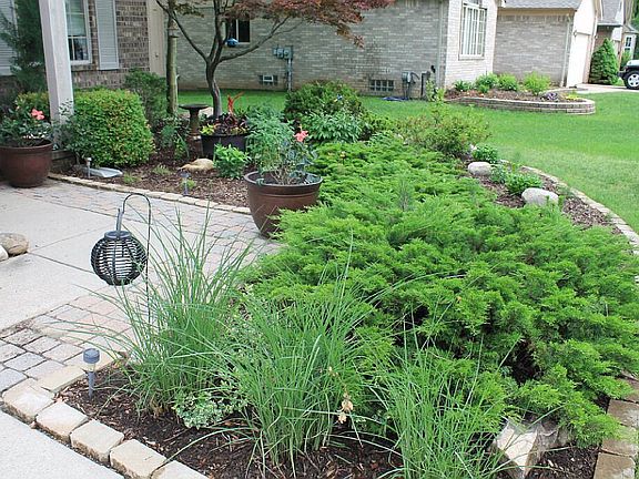 Perennial Landscaping