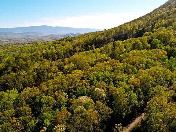 3rd image of 6.27 Acres Mountain Trl