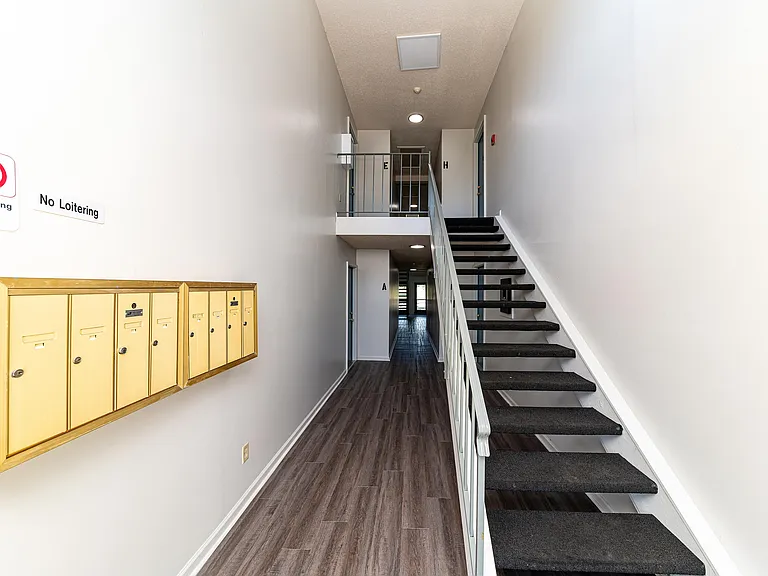 Interior Stairs