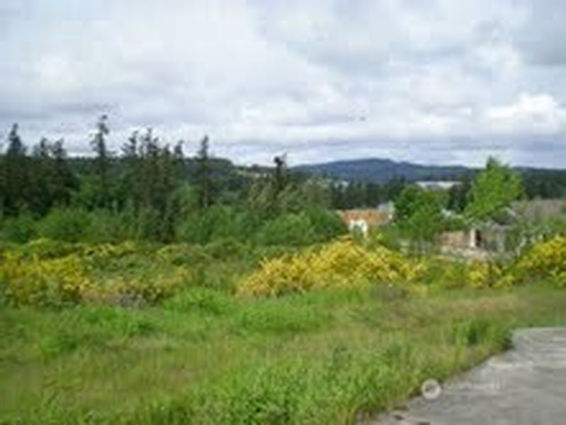 5th image of 0 Pottery Avenue