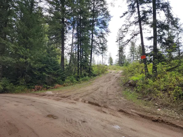 20XX Veit Rd, Newport, WA 99156