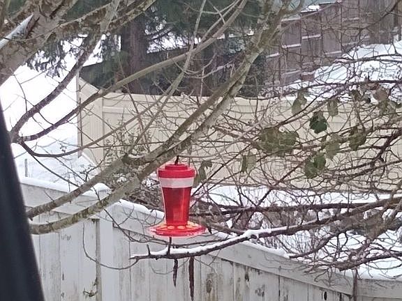 5th image of 25233 SE 42nd Dr