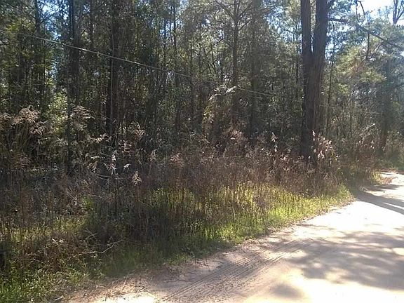 4th image of Brangus Dr