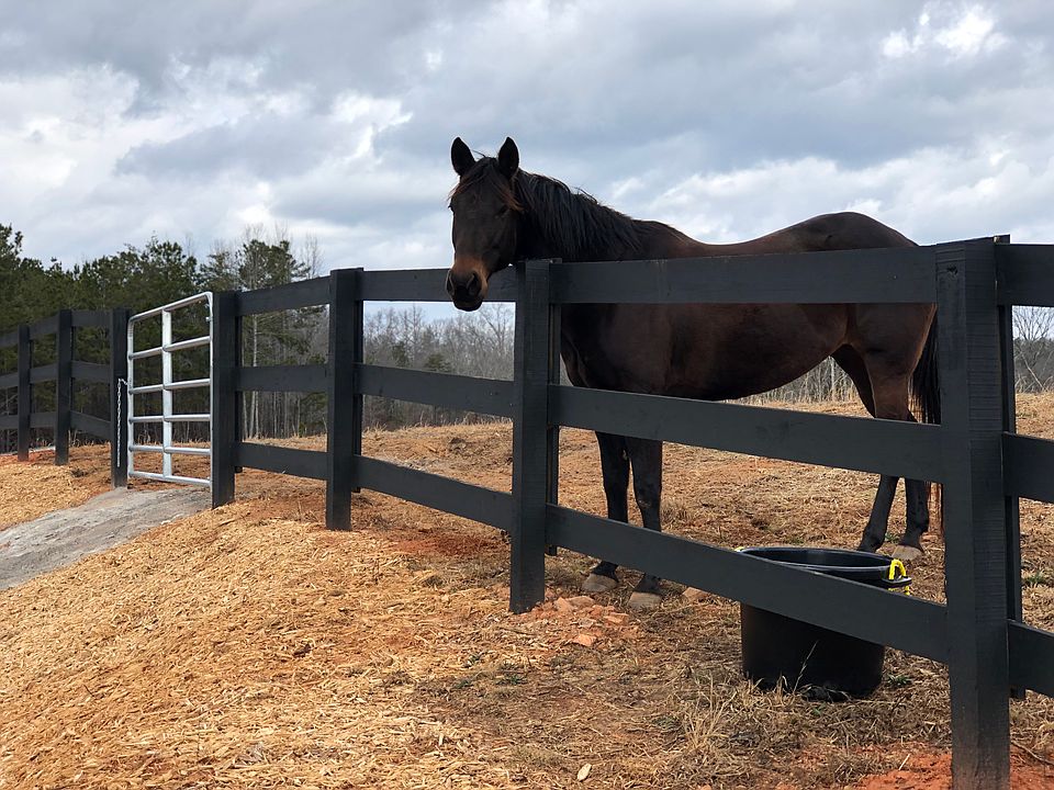2nd image of Big Buck Ln