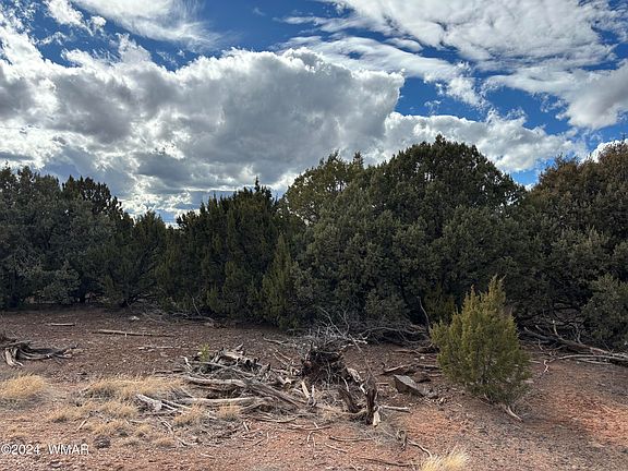 3rd image of N 3026th