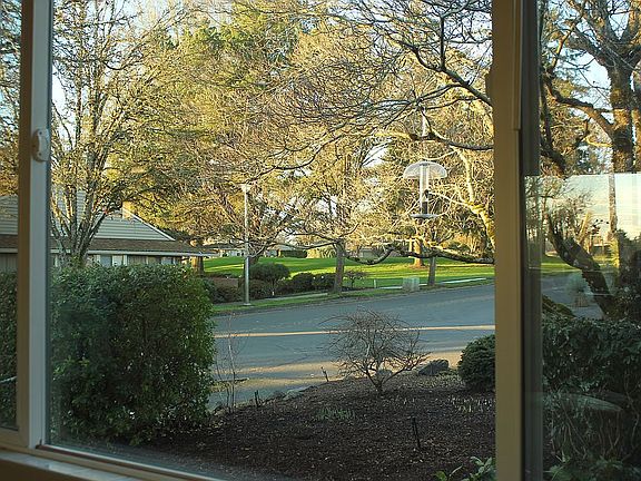 View from living room