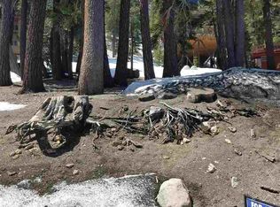 373 John Muir Rd, Mammoth Lakes, CA 93546