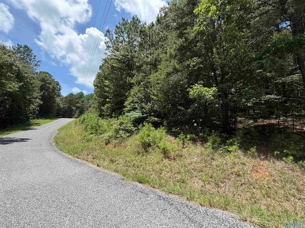 LOT 4 County Road 592, Leesburg, AL 35983