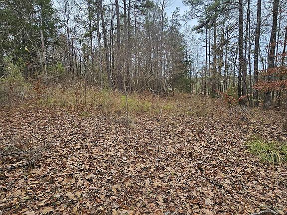 2nd image of 173 County Road 582 #1