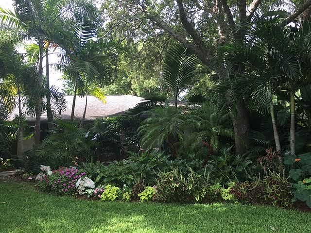 Front yard June 2016