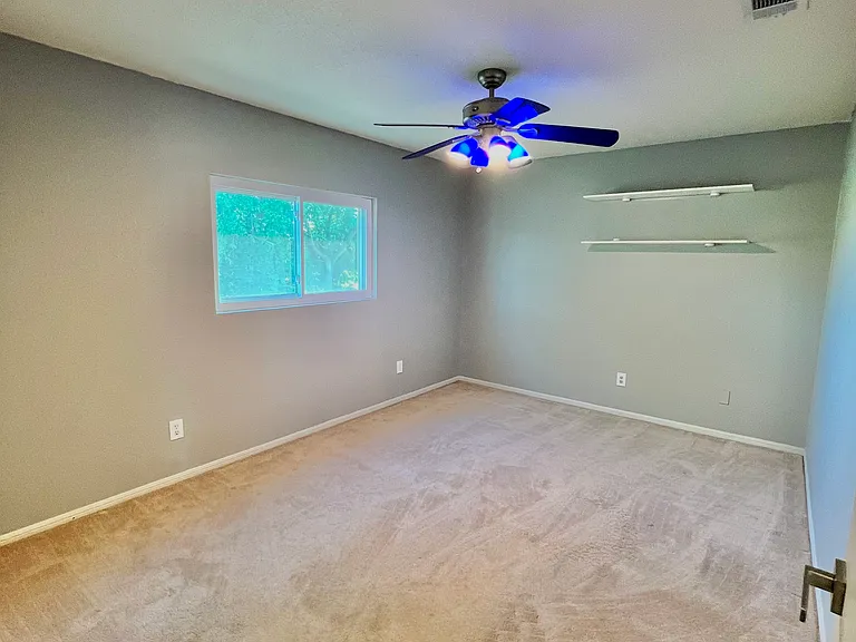 2702 Verbena Loop — Photo 33