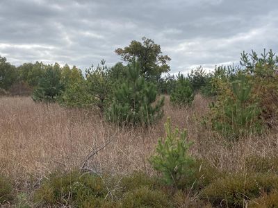 Lt0 SMILEY ROAD, Athelstane, WI, 54104