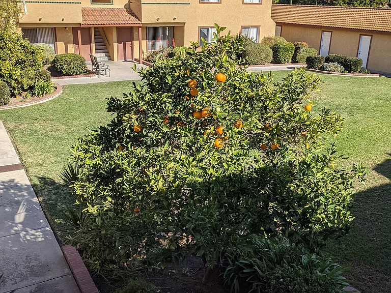 820 N Santa Fe Ave #11 — Photo 8