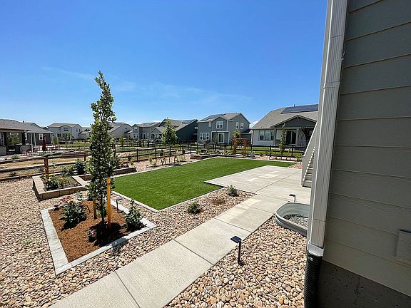 Back view - Landscaping