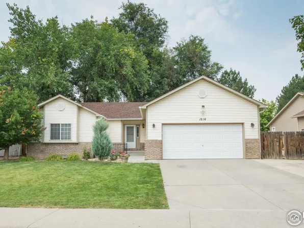 1216 Walnut St, Windsor, CO 80550