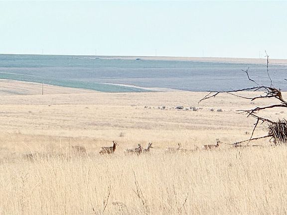 4th image of 0 15.6 Road NE #98860