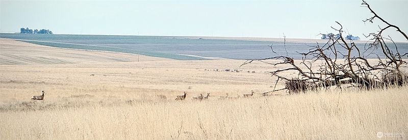 4th image of 0 15.6 Road NE #98860