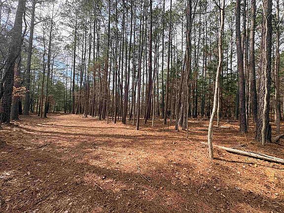 5th image of 0 Union Hwy