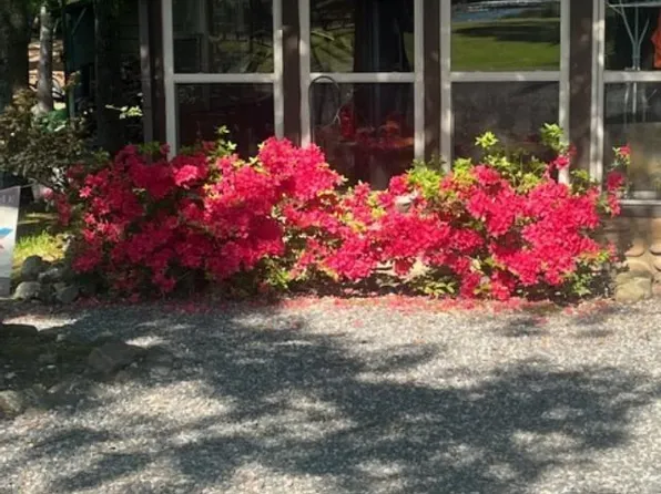 123 Suckles Lake N, Prescott, AR 71857