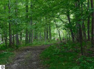 7730 E County Line Rd, South Branch, MI 48761