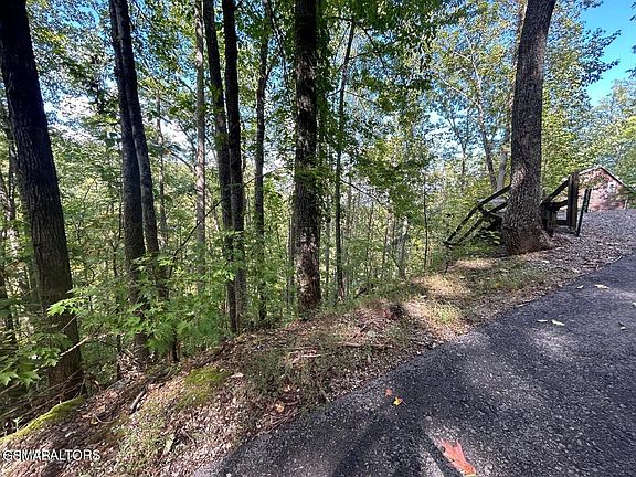 5th image of 9 Wildcat Ridge Rd Lot 9