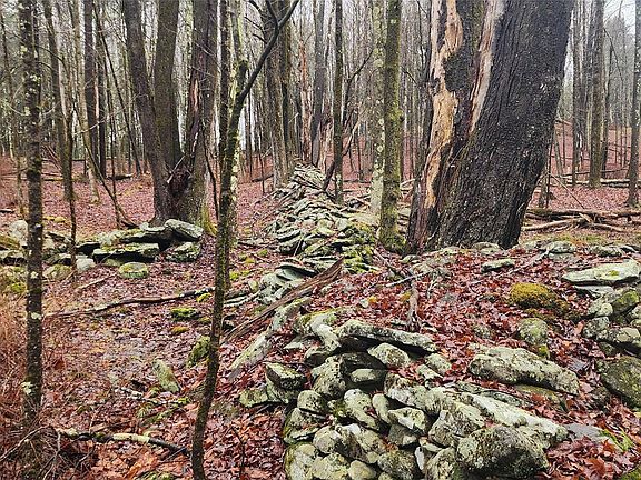 2nd image of Thompson Road