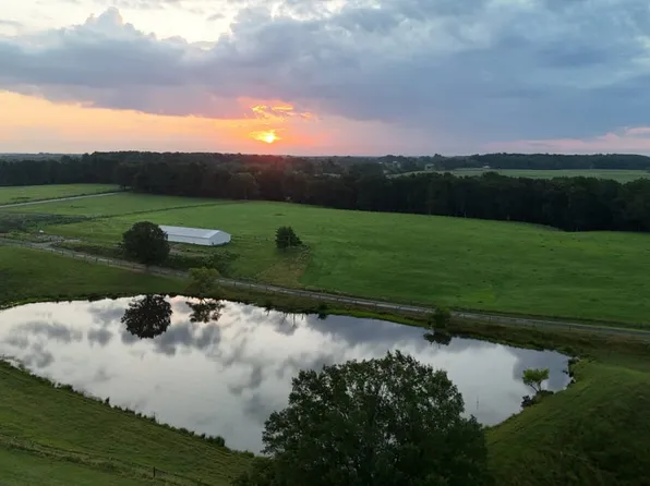 County Road 6, Haleyville, AL 35565