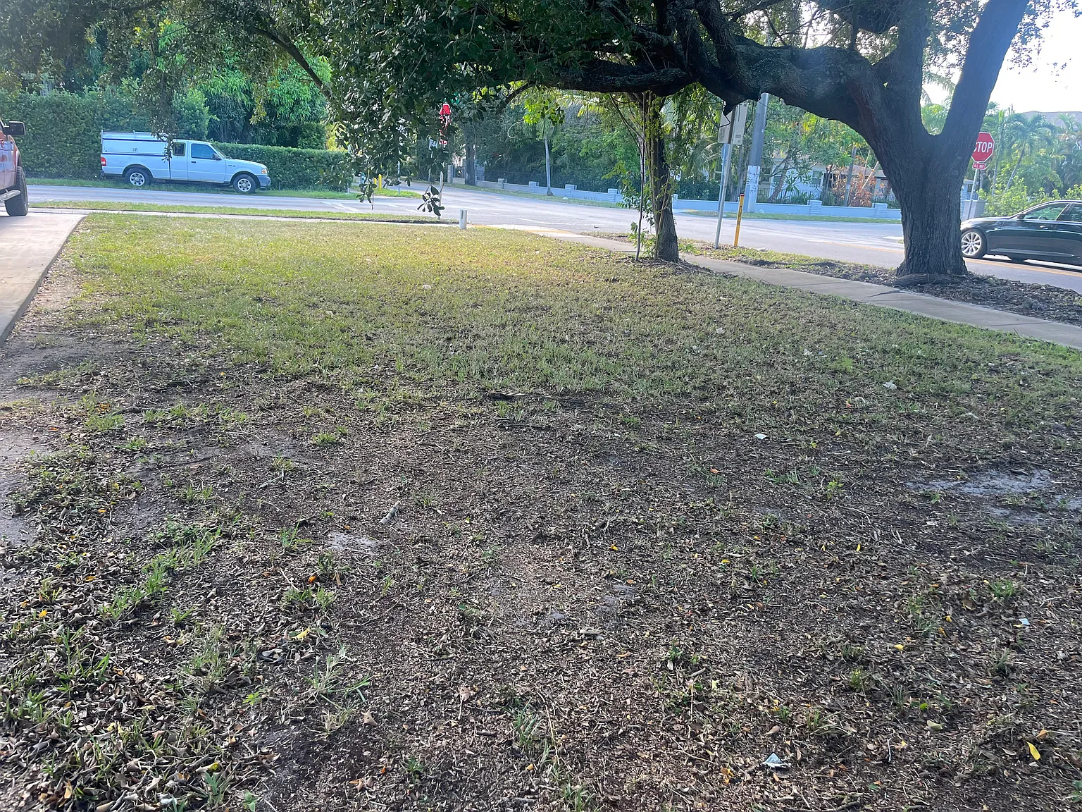 2 bed, 1200 sqft, $2,500 — Photo 2