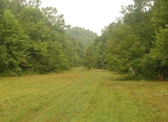 2nd image of 1229 Hale Frk