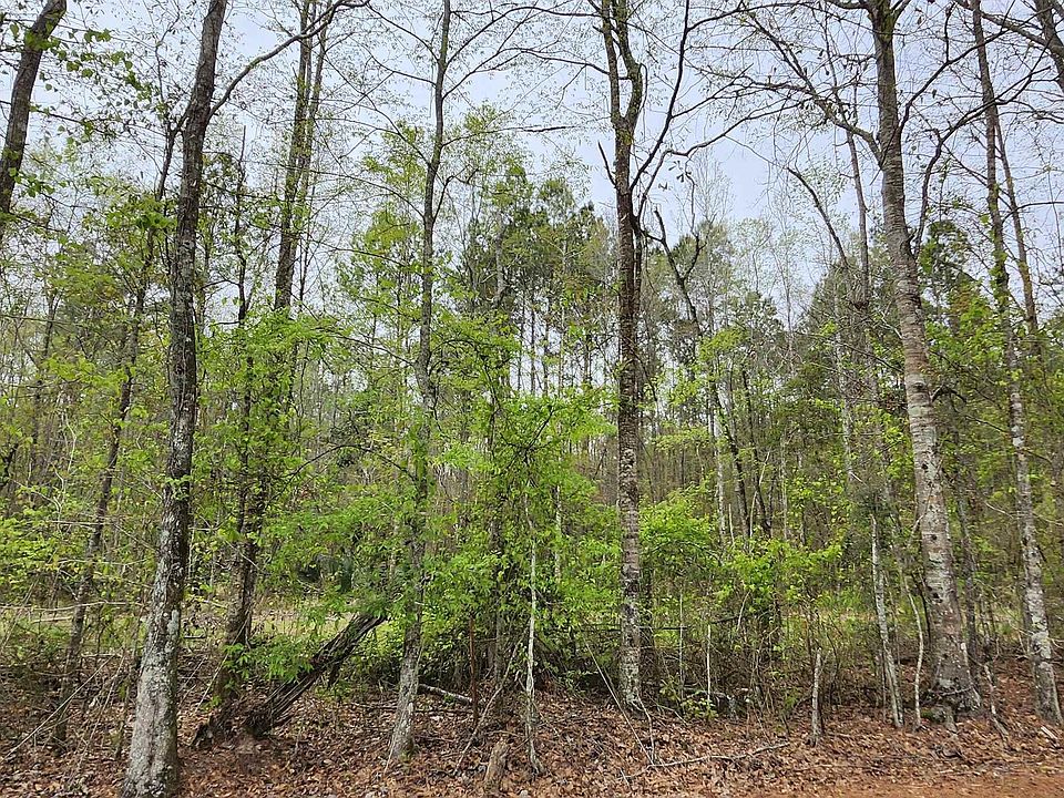 2nd image of LOT Lod Stafford Rd #A