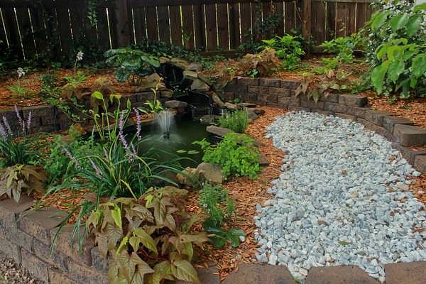 Fishpond in back yard