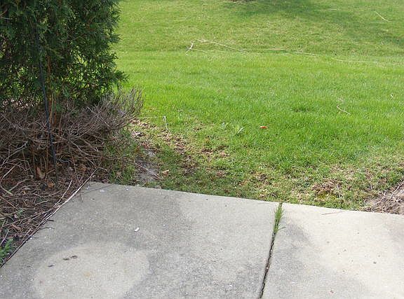 3rd image of 4497 W Quill Ln