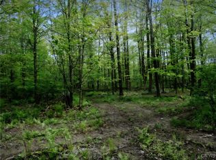 Doyle Rd #37, West Edmeston, NY 13485