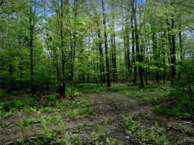 Doyle Rd #37, West Edmeston, NY, 13485